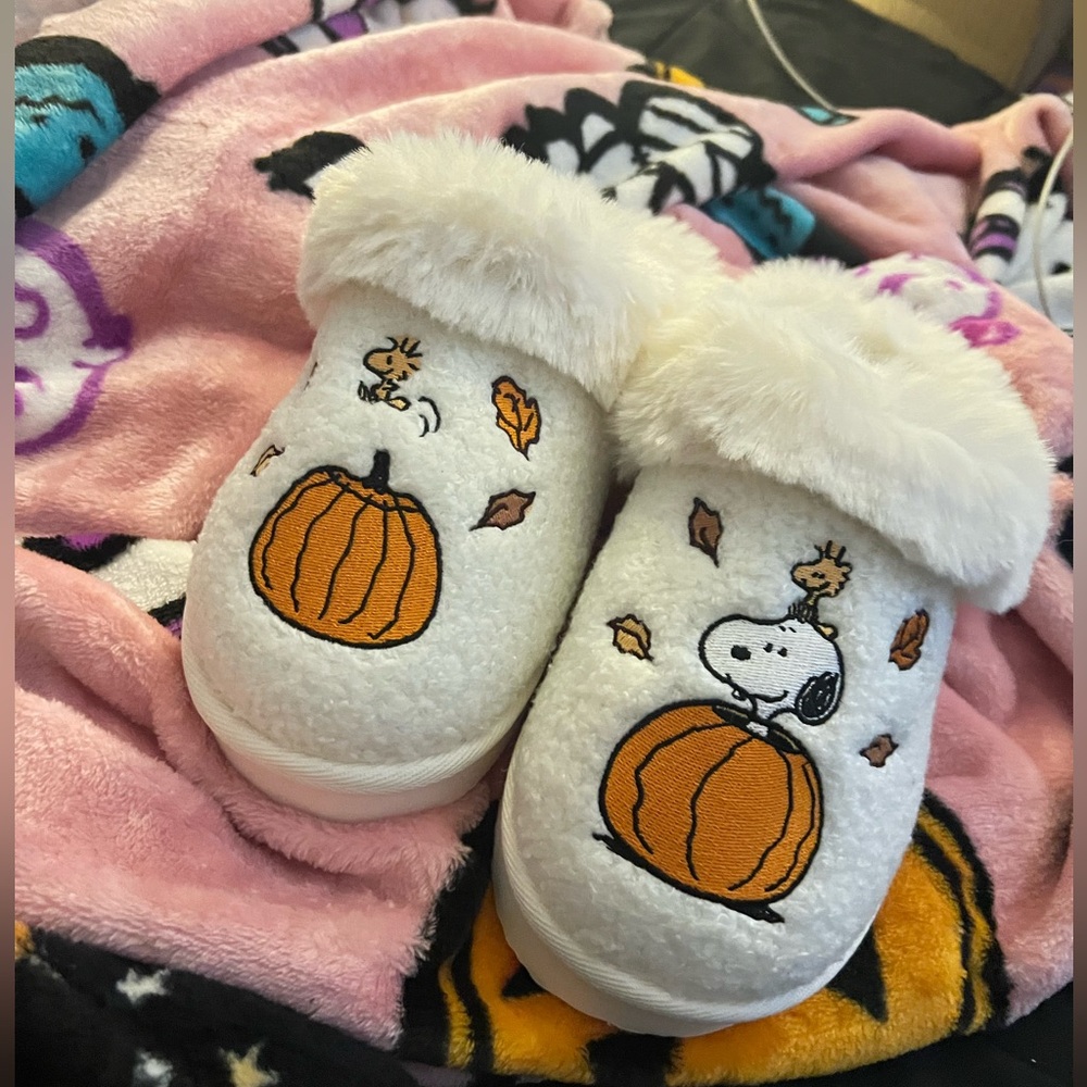 🔴 S O L D AE Fall Peanuts Slipper